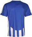 Футболка Select Argentina player shirt striped сине-белая 622600-021
