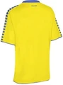 Футболка женская Select Argentina player shirt желто-синяя 622510-025