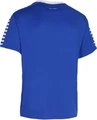 Футболка Select Argentina player shirt синяя 622500-008