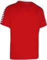Футболка Select Argentina player shirt красная 622500-003