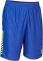 Шорты Select Argentina player shorts сине-желтые 622540-053