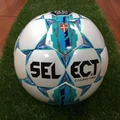 Футбольный мяч Select CAMPO PRO белый 386000-320 Размер 5
