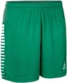 Шорты Select Mexico shorts зеленые 621022-005