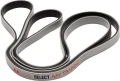 Тренувальний ремінь Select TRAININGBAND 2 "MY TRAINING" сірий 745510-990