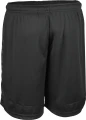Шорти Select SPAIN V25 PLAYER SHORTS чорні 621030-191