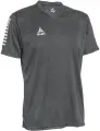Футболка Select PISA PLAYER SHIRT S/S сіра 624130-990