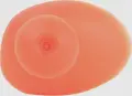 Беруші дитячі Speedo ERGO EARPLUG JU помаранчеві 8-12810F943
