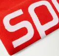 Рушник Speedo LOGO TOWEL AU червоно-білий 8-00413517017