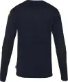 Вратарская кофта детская Uhlsport PREDICTION GOALKEEPER SHIRT темно-сине-лимонная 1005305 41