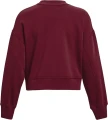 Свитшот женский Under Armour PROJECT ROCK FLEECE бордовый 1370546-626
