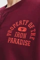 Свитшот женский Under Armour PROJECT ROCK FLEECE бордовый 1370546-626