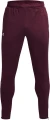Спортивні штани Under Armour TERRY PANTS бордові 1366265-600