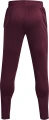 Спортивні штани Under Armour TERRY PANTS бордові 1366265-600