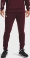 Спортивні штани Under Armour TERRY PANTS бордові 1366265-600