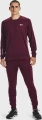 Спортивні штани Under Armour TERRY PANTS бордові 1366265-600