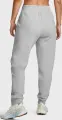 Спортивний костюм жіночий Under Armour UNSTOPPABLE FLEECE сірий 1379842-011&1379846-011