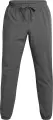 Спортивні штани Under Armour VIBE сірі 1386557-025