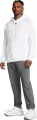 Спортивные штаны Under Armour VIBE серые 1386557-025