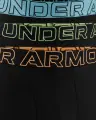 Трусы (боксерки) Under Armour PERFORMANCE TECH 6IN 3-PACK BOXERJOCK черные (3 штуки) 1383878-003