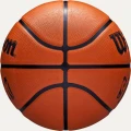 Баскетбольний м'яч Wilson JR NBA DRV FAM LOGO коричневий Розмір 7 WZ3013001XB7