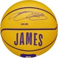 Баскетбольний м'яч Wilson NBA PLAYER ICON MINI LEBRON JAMES жовто-фіолетовий Розмір 3 WZ4007201XB3