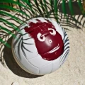 Волейбольний м'яч Wilson MR WILSON CASTAWAY SS13 біло-червоний Розмір 5 WTH4615XDEF