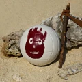 Волейбольний м'яч Wilson MR WILSON CASTAWAY SS13 біло-червоний Розмір 5 WTH4615XDEF