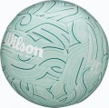 Мяч для пляжного волейбола Wilson SHORELINE SOFT GEN VB мятный Размер 5 WV4007401XBOF