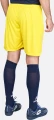 Шорти Zeus SHORT MIDA GIALL жовті Z01738
