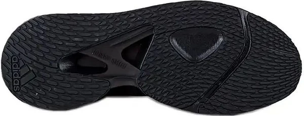 Кроссовки для бега Adidas ALPHATORSION M черные FW0666