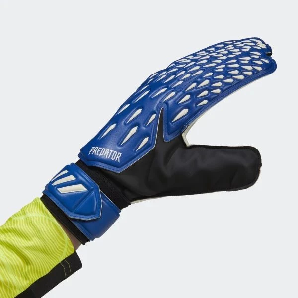 Вратарские перчатки Adidas PRED GL TRN сине-белые GK3524