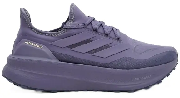 Кроссовки беговые Adidas ULTRABOOST LIGHT 2.0 GORE-TEX фиолетовые JQ2950