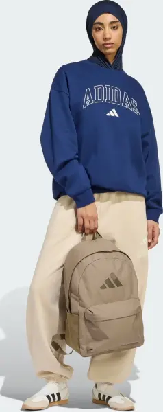 Рюкзак Adidas CLASSIC 3 BAR LOGO 27,5L коричневый KQ6742