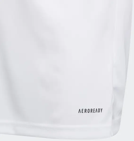 Футболка джерсі дитяча Adidas FORTORE 23 JERSEY біло-чорна IK5742