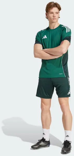 Шорти тренувальні Adidas TIRO 25 COMPETITION TRAINING SHORTS зелено-темно-зелені JI6576