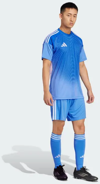 Футболка воротарська Adidas TIRO 25 COMPETITION GOALKEEPER JERSEY блакитна JI9715