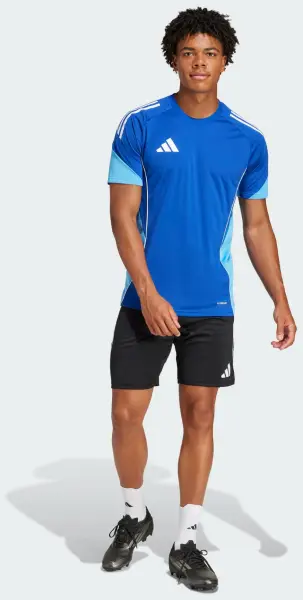 Шорти тренувальні Adidas TIRO 25 COMPETITION TRAINING SHORTS чорно-сірі JF0571