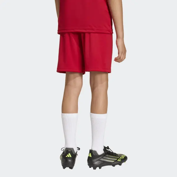 Шорти дитячі Adidas ENTRADA 26 SHORTS червоно-білі JZ6528