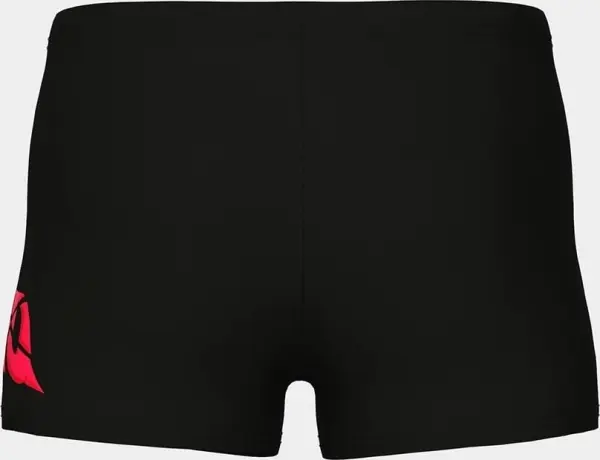 Плавки-боксеры детские Arena LETTERING SWIM SHORT черные 010864-500