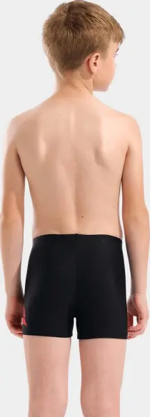 Плавки-боксеры детские Arena LETTERING SWIM SHORT черные 010864-500
