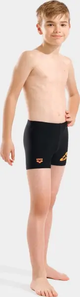 Плавки-боксеры детские Arena LETTERING SWIM SHORT черные 010864-500