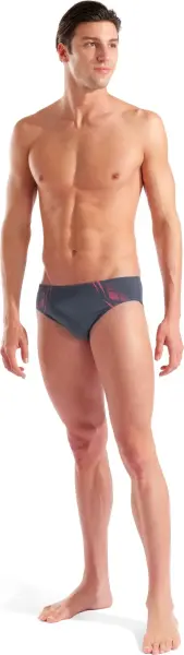 Плавки-брифи Arena POSEIDONIA SWIM BRIEFS темно-сіро-рожеві 009075-504