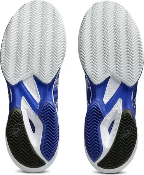Кросівки тенісні Asics SOLUTION SPEED FF 3 CLAY синьо-білі 1041A437-401