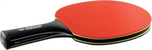 Ракетка для настільного тенісу Donic CARBOTEC 900 чорна 758219