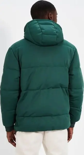 Куртка Ellesse PADOLTI зелено-біла SHT19019-502