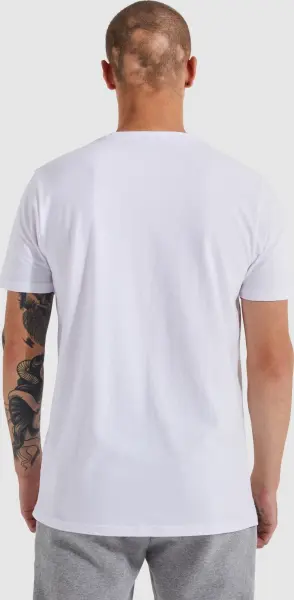 Футболка Ellesse DYNE біла SXG12736-908