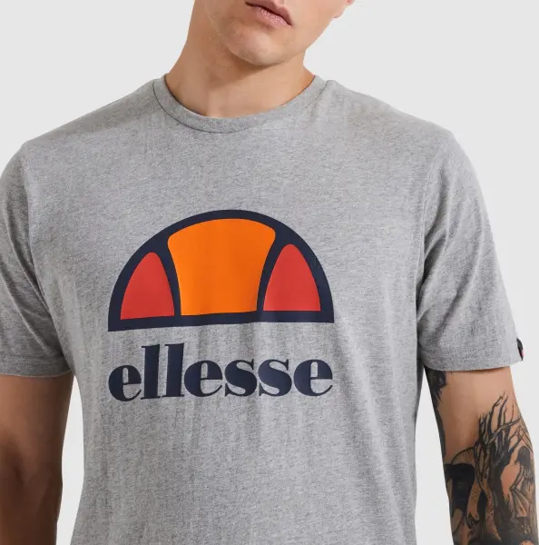 Футболка Ellesse DYNE сіра SXG12736-112