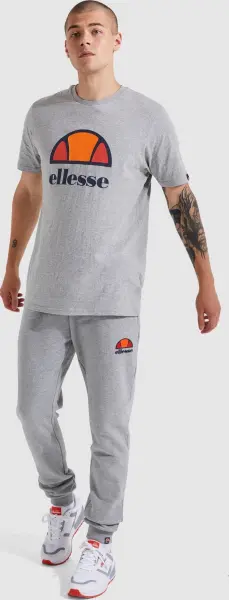 Футболка Ellesse DYNE сіра SXG12736-112