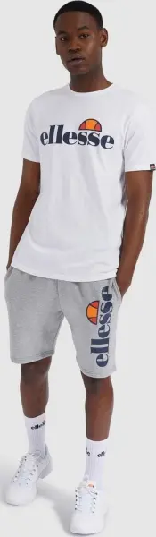 Шорты Ellesse BOSSINI серые SHS08748-106