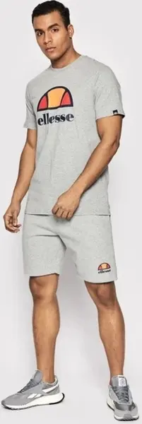 Шорти Ellesse MALVIVA сірі SXG13532-112